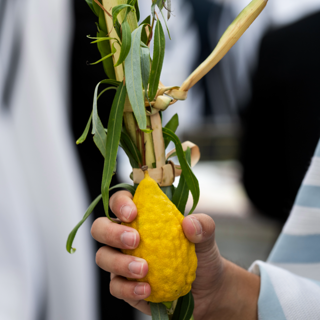 Celebrating Sukkot