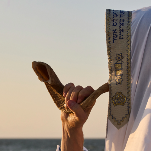 Ram's Horn Shofar