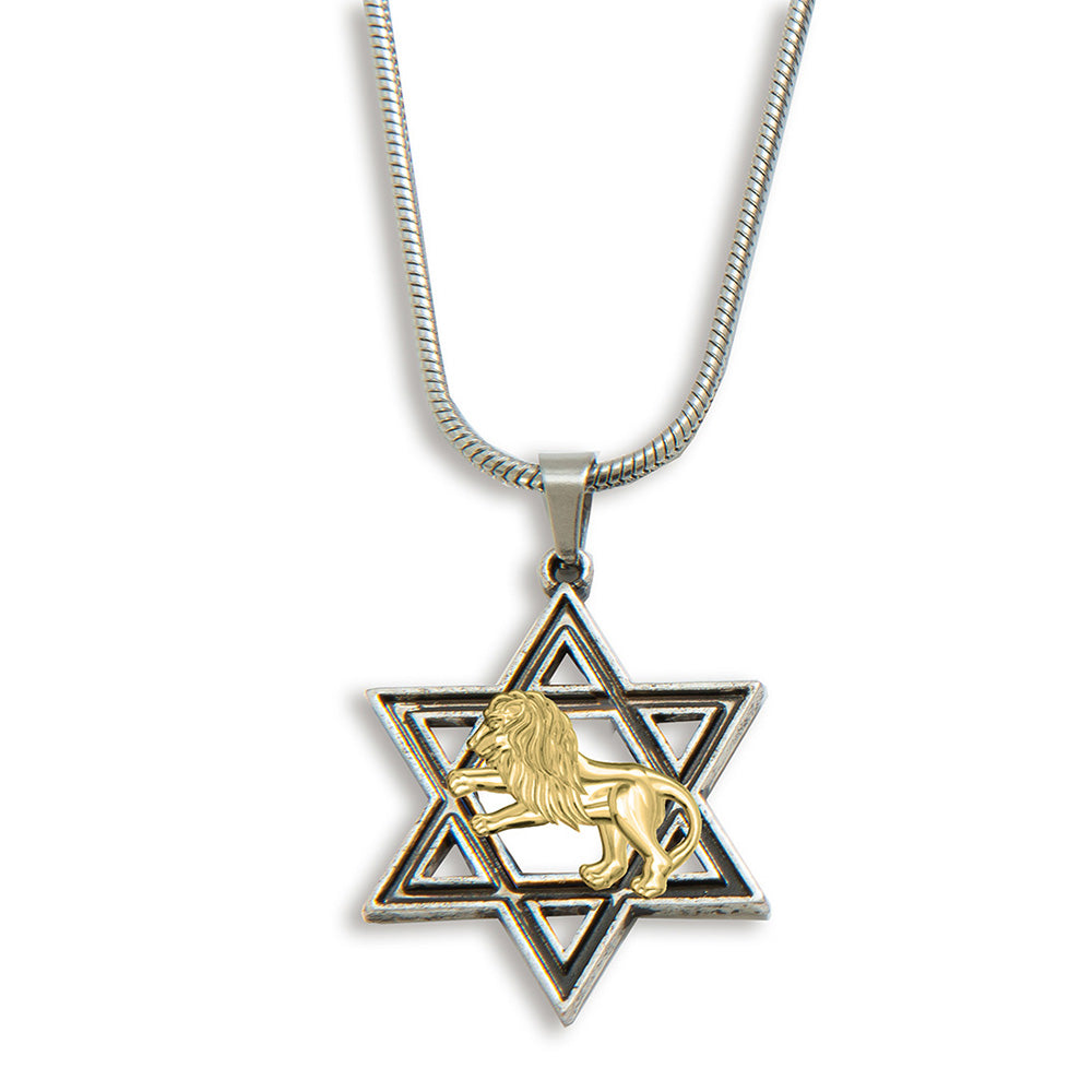 Star of David & Lion Necklace