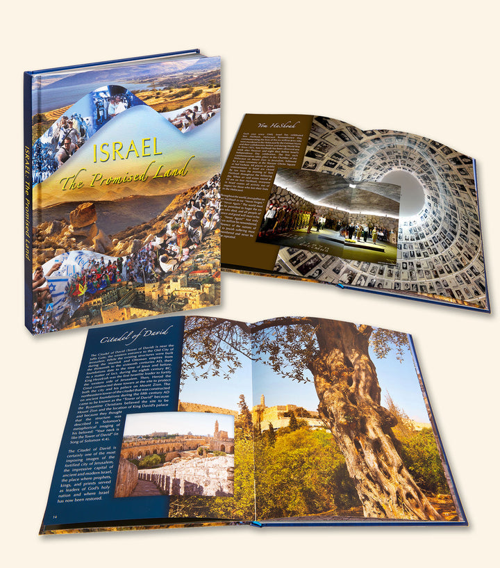 Israel: The Promised Land Book