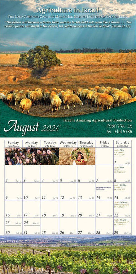 Calendar page for August 2026 showing a landscape with sheep and fields.