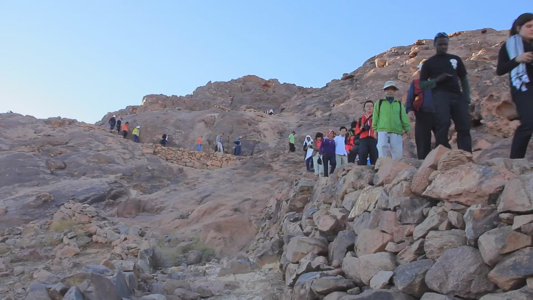 Going Up to Jerusalem Framed Canvas