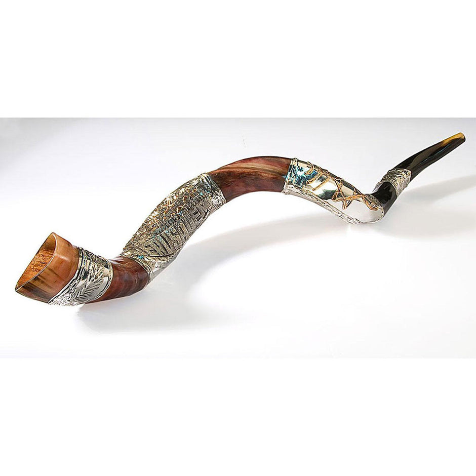 Yemenite Shofars Holy Land Gifts