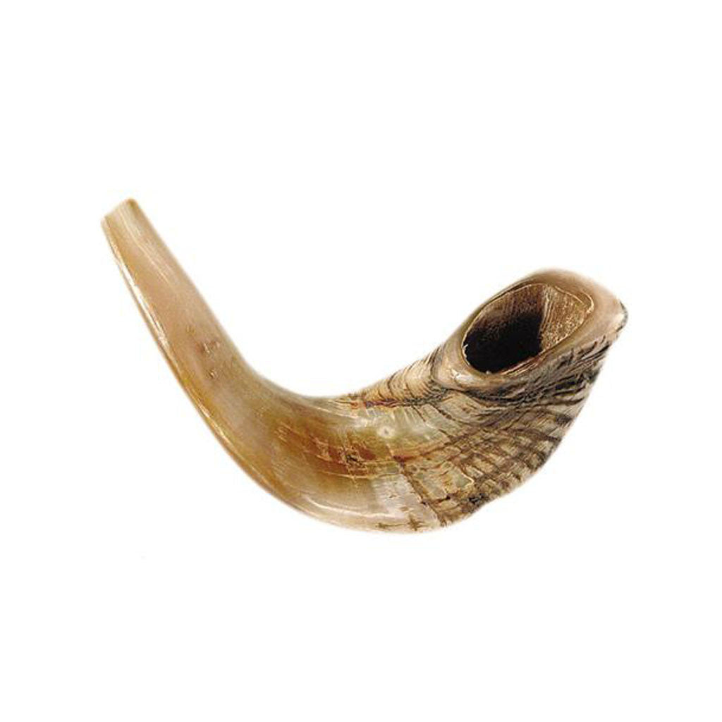 Ram's Horn Shofar 15"- 17"