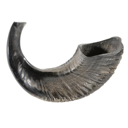 Rams Horn 'CC-13"-14" - Holy Land Gifts