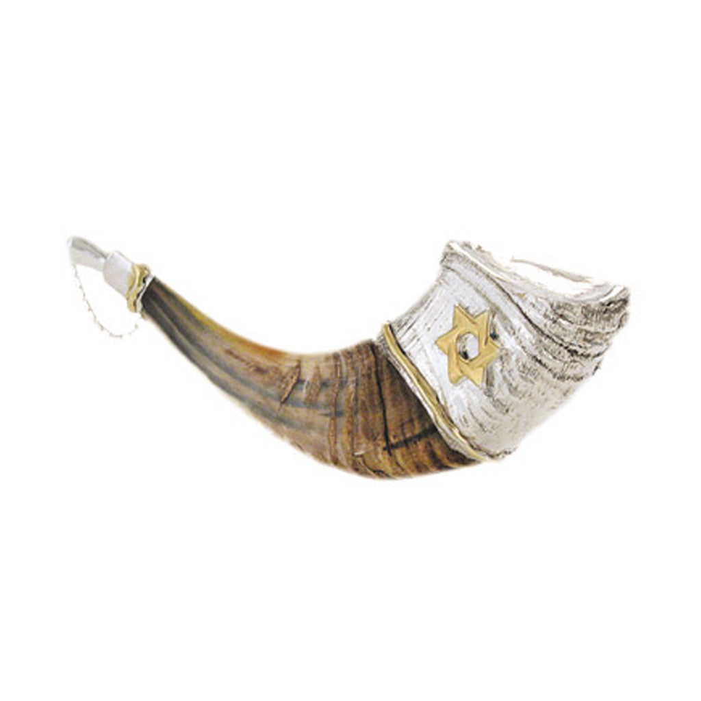 Silver Anointing Ram Shofar - Holy Land Gifts