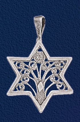 Star of David inlaid with the Tree of Life Necklace - Holy Land Gifts