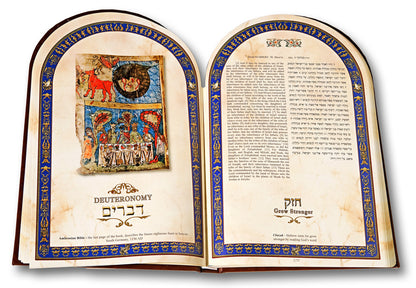 The Illuminated Torah