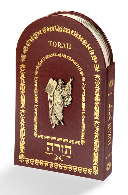 The Illuminated Torah